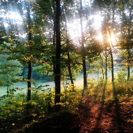Проживание в семье Bialy Висла