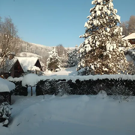 Bialy Проживание в семье