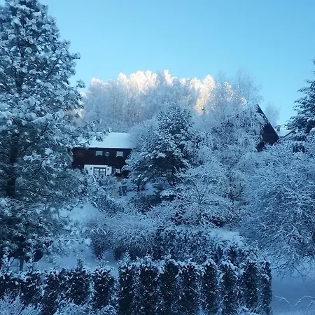 בית אירוח Bialy