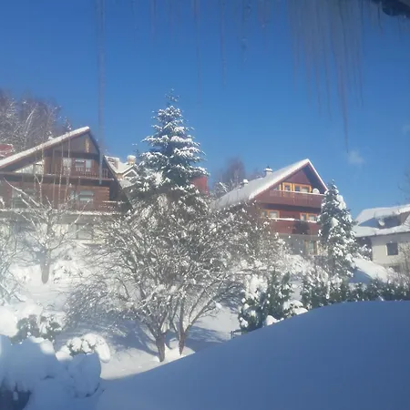 Bialy Homestay Wisla