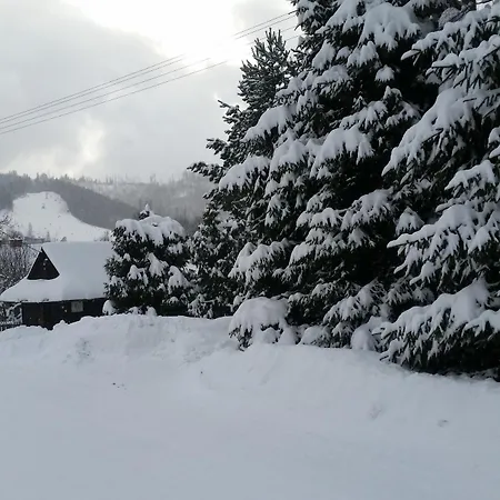 Bialy Homestay Wisla