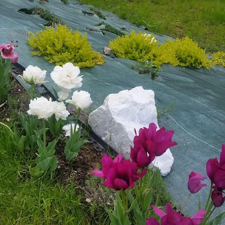 Bialy Проживание в семье Висла