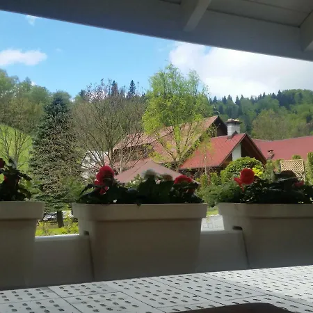 Проживание в семье Bialy