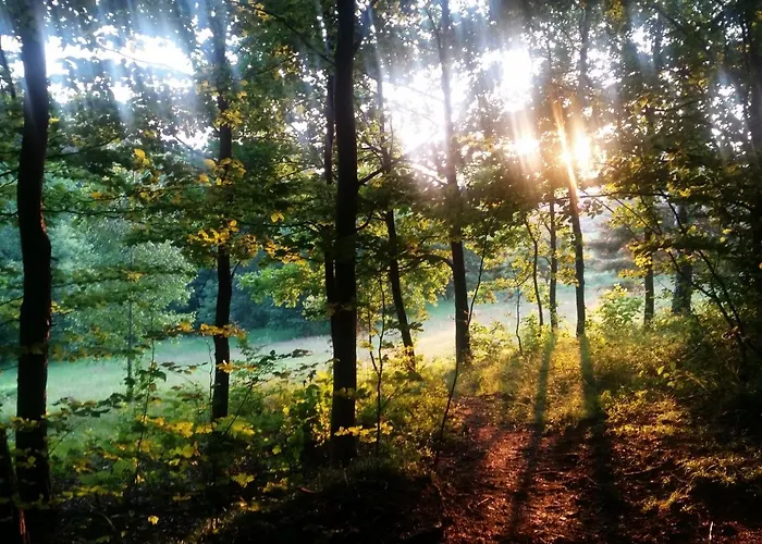 Habitación en casa particular Bialy Wisła