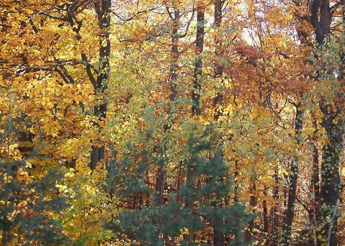 Ubytování v soukromí Bialy *