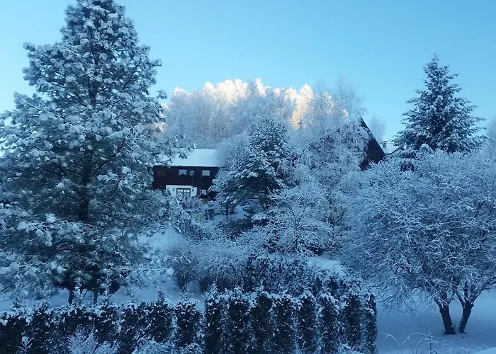 בית אירוח Bialy