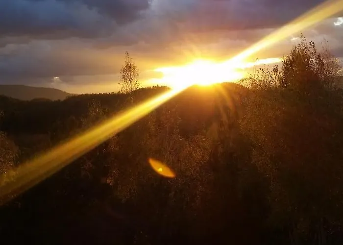 Bialy בית אירוח