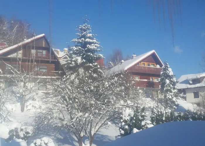 Bialy בית אירוח ויסלאו