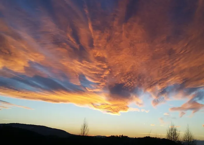 Bialy בית אירוח ויסלאו