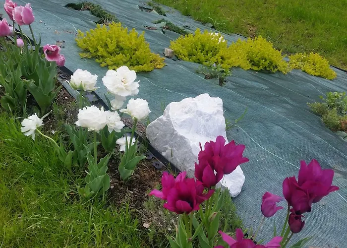 Bialy בית אירוח ויסלאו