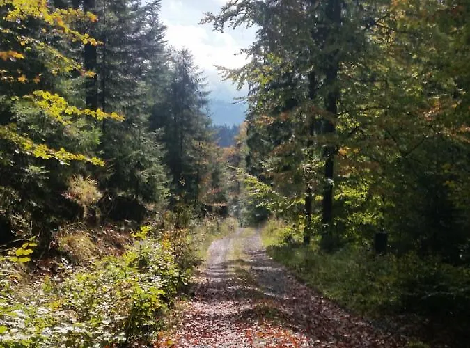 Kwatera prywatna Bialy